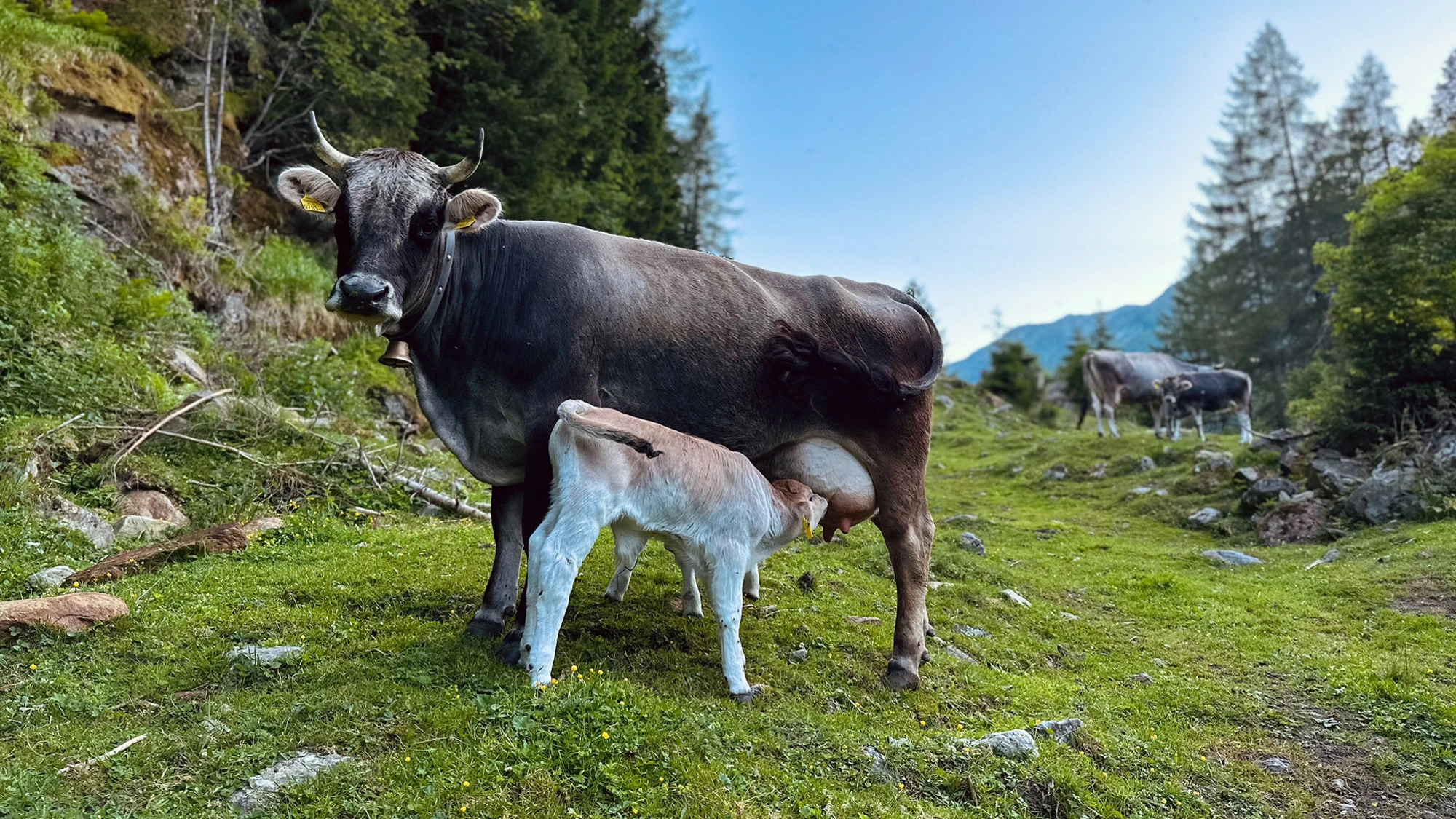 Our agriculture
